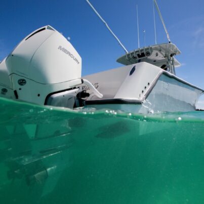 florida marine surveyor